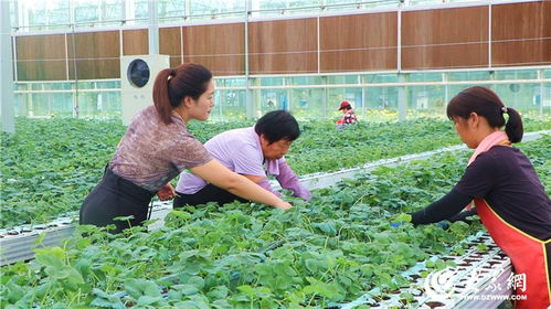 三农 奋进路丨农业篇 年育苗1亿株 广饶这家育苗 工厂 数字赋能 慧 育苗