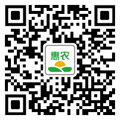 [青钱柳 出售青钱柳苗价格4棵