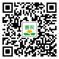 [青钱柳种子青钱柳种子 青钱柳苗 青钱柳茶价格90斤