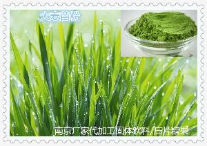 青钱柳苗市场价格、常见型号及选购指南